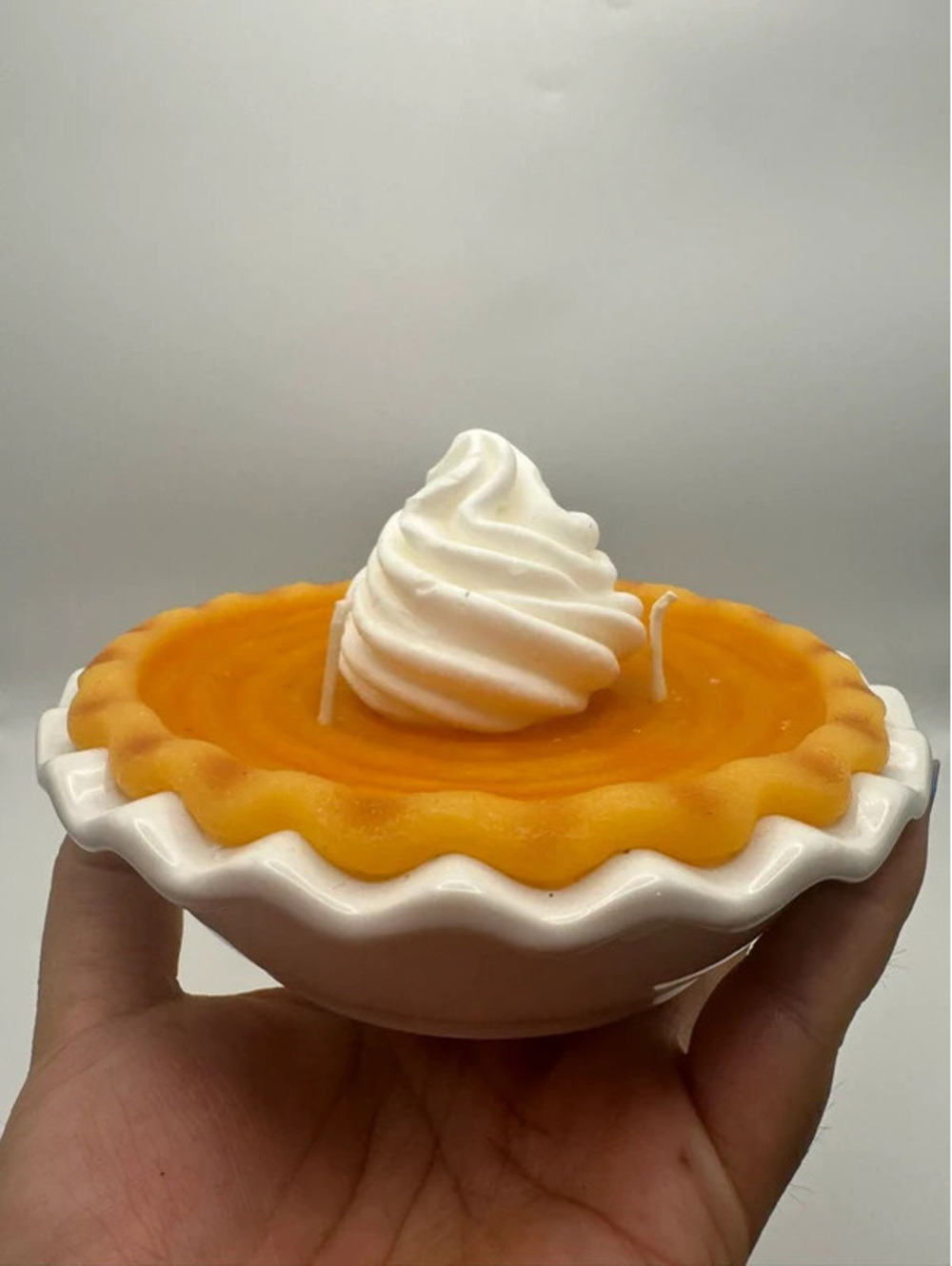 Ashland Fall Pumpkin Pie Scented Candle NWT
